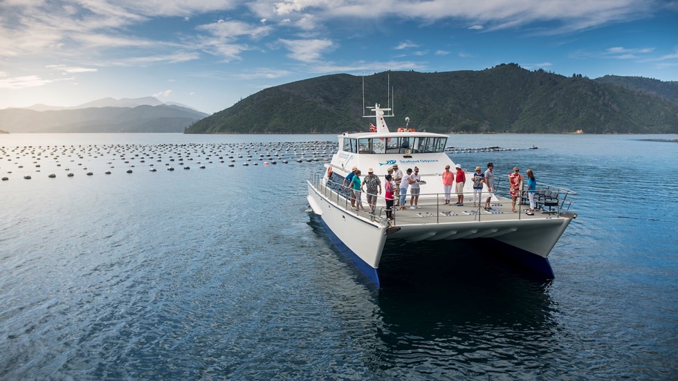 MV Odyssea is a large catamaran, ideal for a variety of cruises for groups, corporate and private events in New Zealand's Marlborough Sounds.