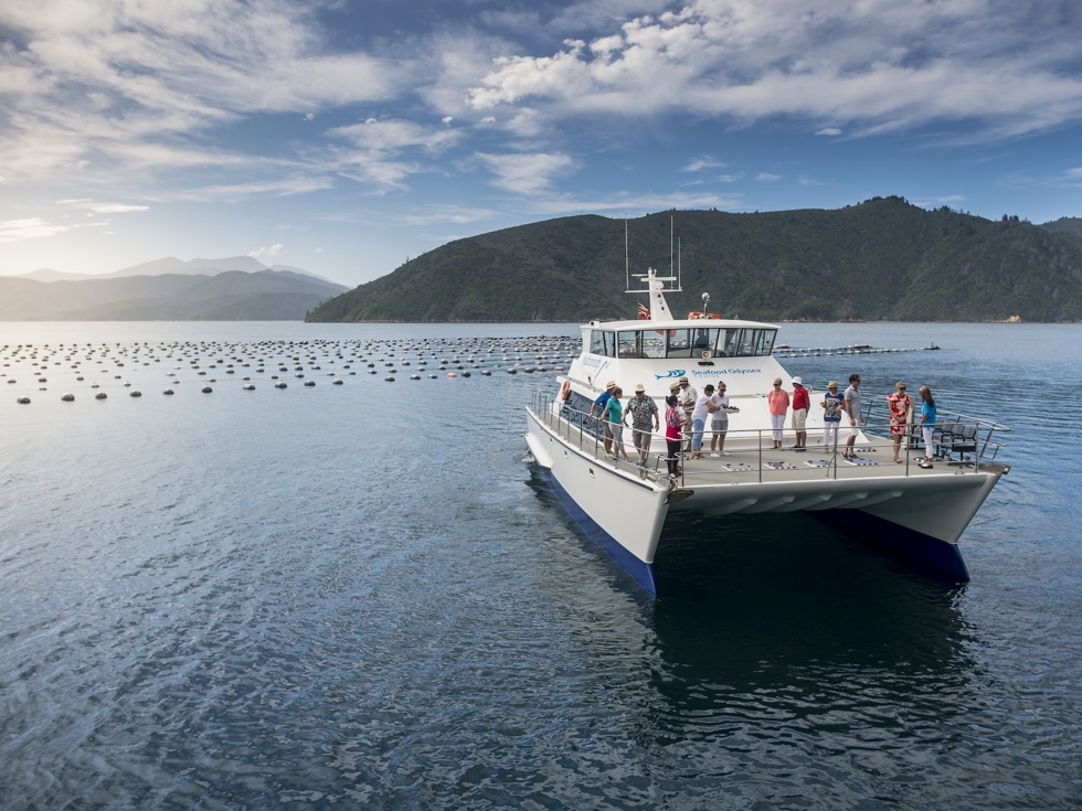 MV Odyssea is a large catamaran, ideal for a variety of cruises for groups, corporate and private events in New Zealand's Marlborough Sounds.