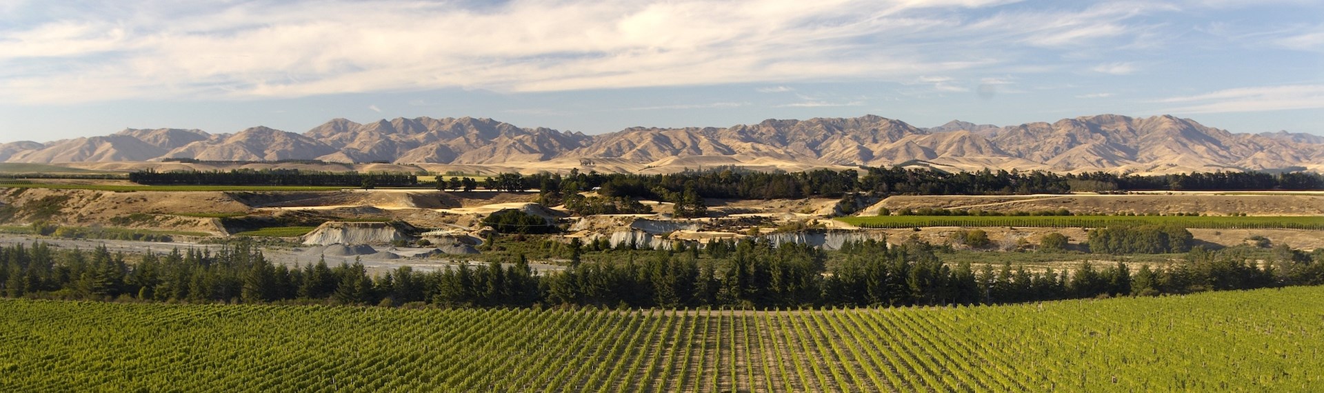 Marlborough's picturesque vineyards with the hills bordering the background, near Blenheim in Marlborough at the top of New Zealand's South Island.