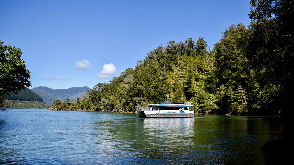 The Pelorus Mail Boat exploring the bays of Pelorus Sound/Te Hoiere.