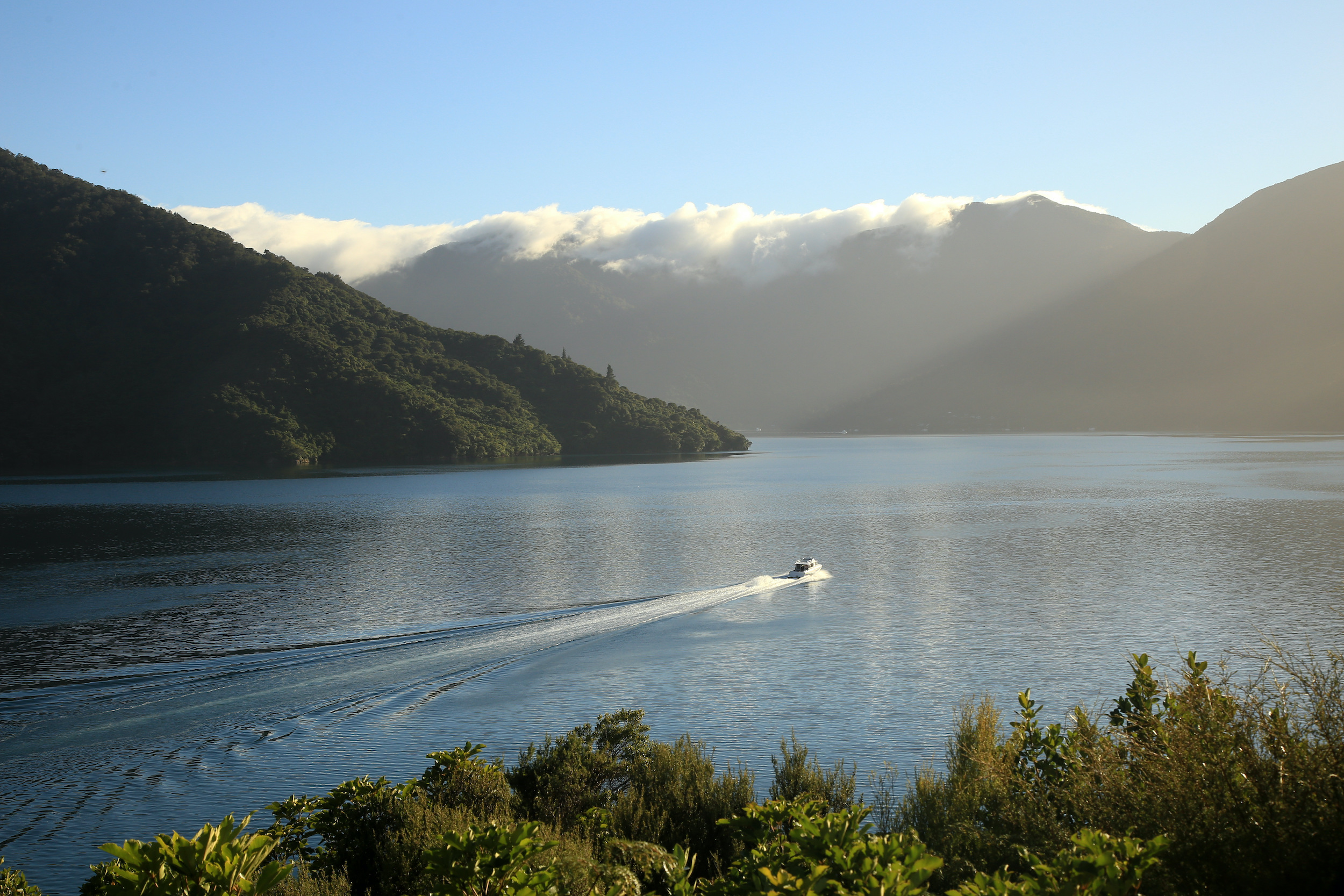 A Cougar Line boat leaves a wake in the calm water as it cruises through the Marlborough Sounds, New Zealand.