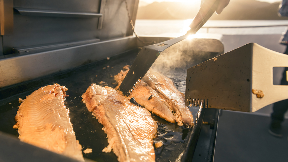Marlborough salmon being BBQ'd onboard a Marlborough Tour Co boat in the Marlborough Sounds top of New Zealand's South Island