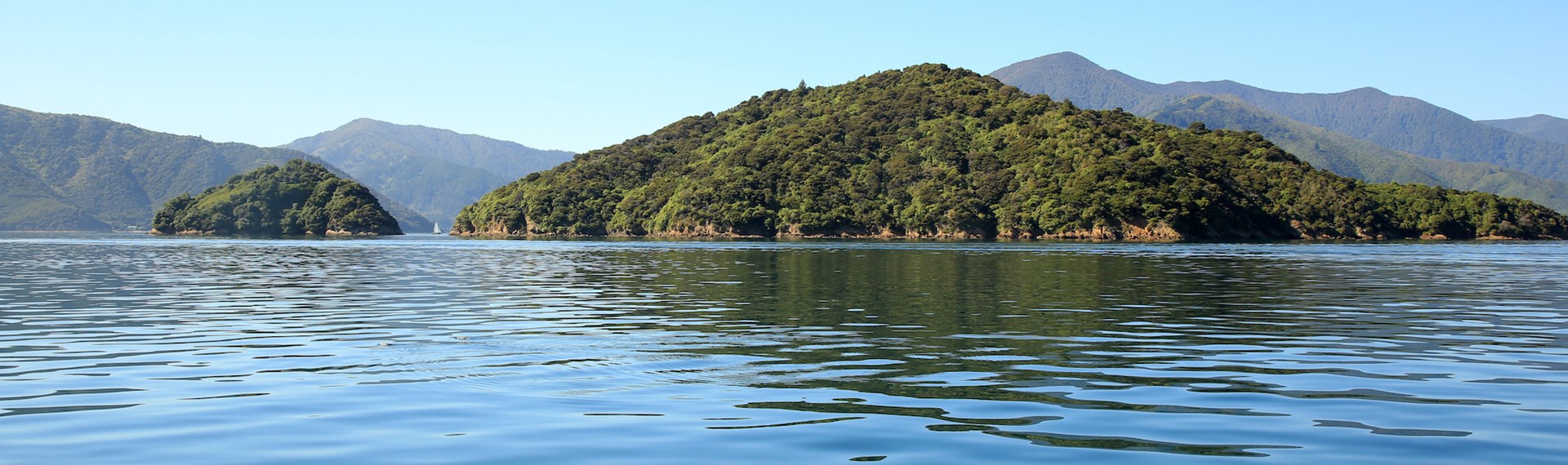 Two small green islands in the Marlborough Sounds, a paradise for exploring, at the top of New Zealand's South Island.