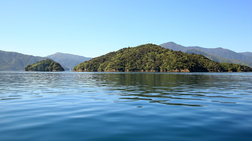 Two small green islands in the Marlborough Sounds, a paradise for exploring, at the top of New Zealand's South Island.