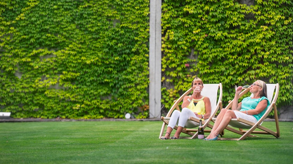 Two women on deck chairs on a lawn drinking wine at a winery cellar door in Marlborough, at the top of New Zealand's South Island