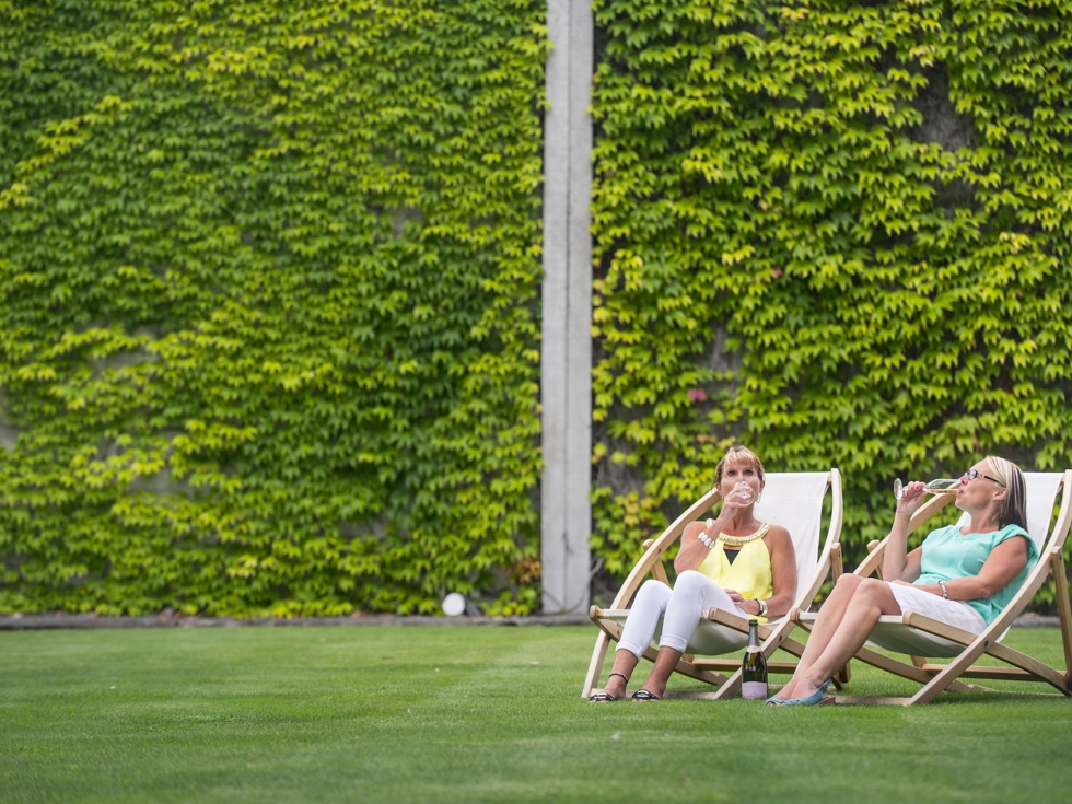Two women on deck chairs on a lawn drinking wine at a winery cellar door in Marlborough, at the top of New Zealand's South Island