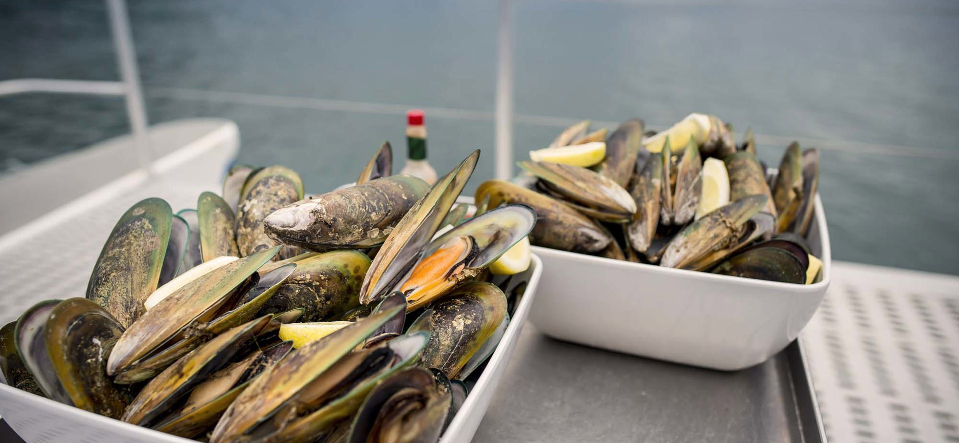 Freshly steamed Greenshell mussels, at the source in the Marlborough Sounds, at the top of New Zealand's South Island