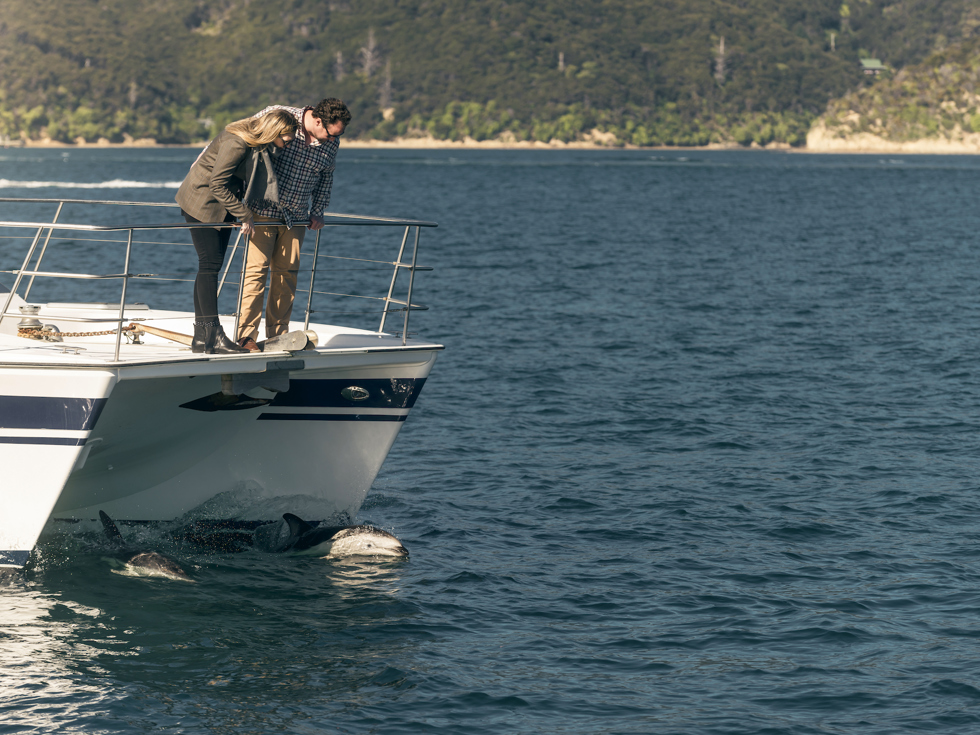 Couple on bow of boat look down at two dolphins swimming under the boat, in the Marlborough Sounds at the top of New Zealand's South Island