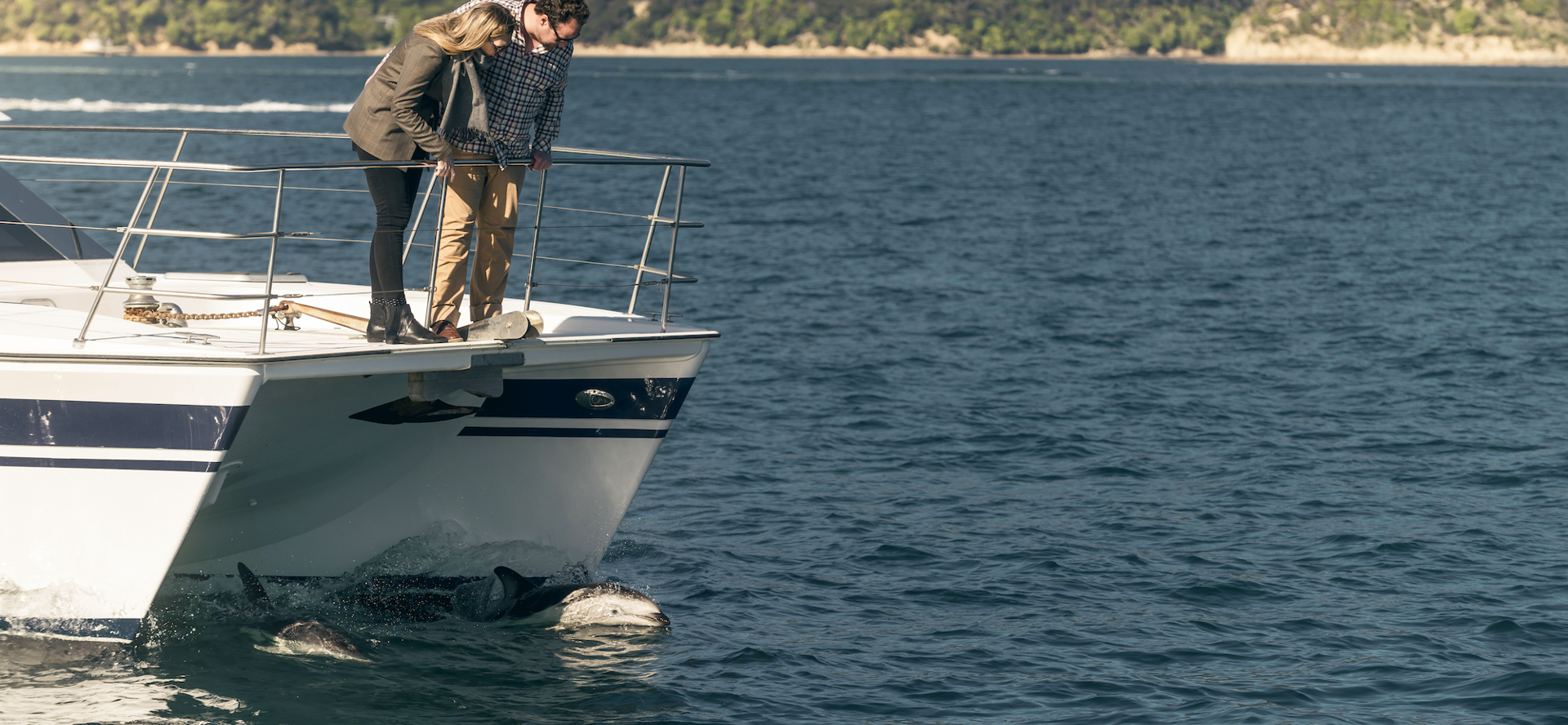 Couple on bow of boat look down at two dolphins swimming under the boat, in the Marlborough Sounds at the top of New Zealand's South Island