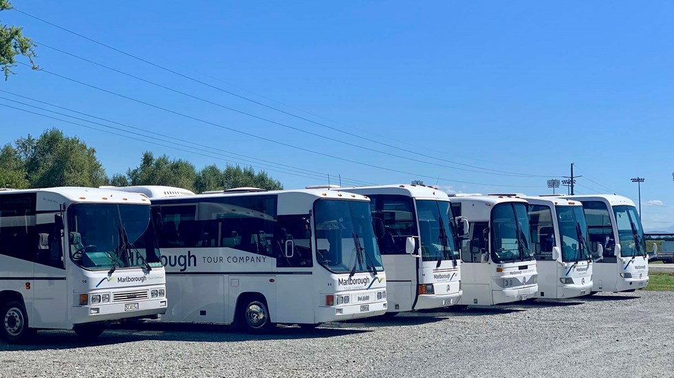 Marlborough Tour Co buses lined up ready to head out on charter and group tours in Marlborough, top of New Zealand's South Island. 