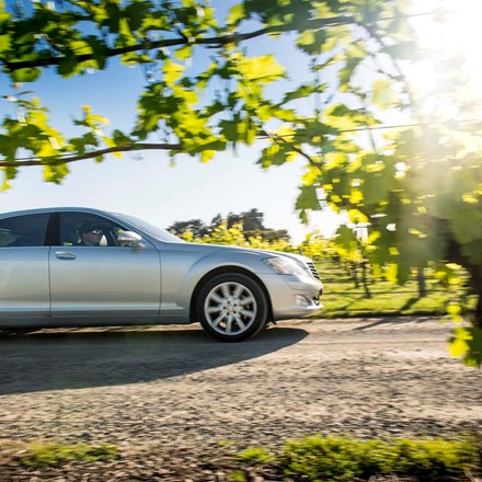 Silver sedan car driving through vineyards as part of a wine tour, near Blenheim in Marlborough at the top of New Zealand's South Island.