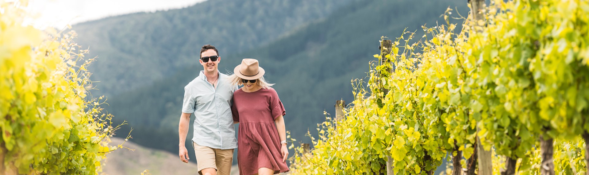 Couple arm in arm walking in a vineyard between rows of grapes as part of wine tours in Marlborough, at the top of New Zealand's South Island