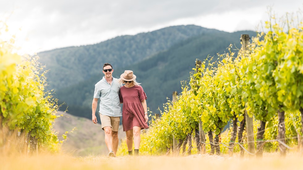Couple arm in arm walking in a vineyard between rows of grapes as part of wine tours in Marlborough, at the top of New Zealand's South Island