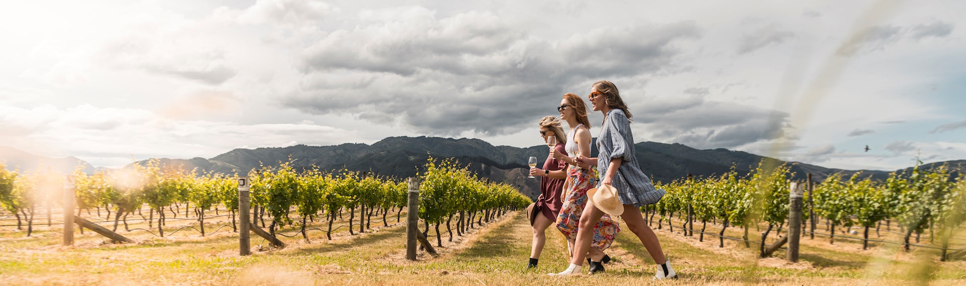 Three women walk through a vineyard with hills in the background as part of a wine tour in Marlborough near Blenheim, at the top of New Zealand's South Island
