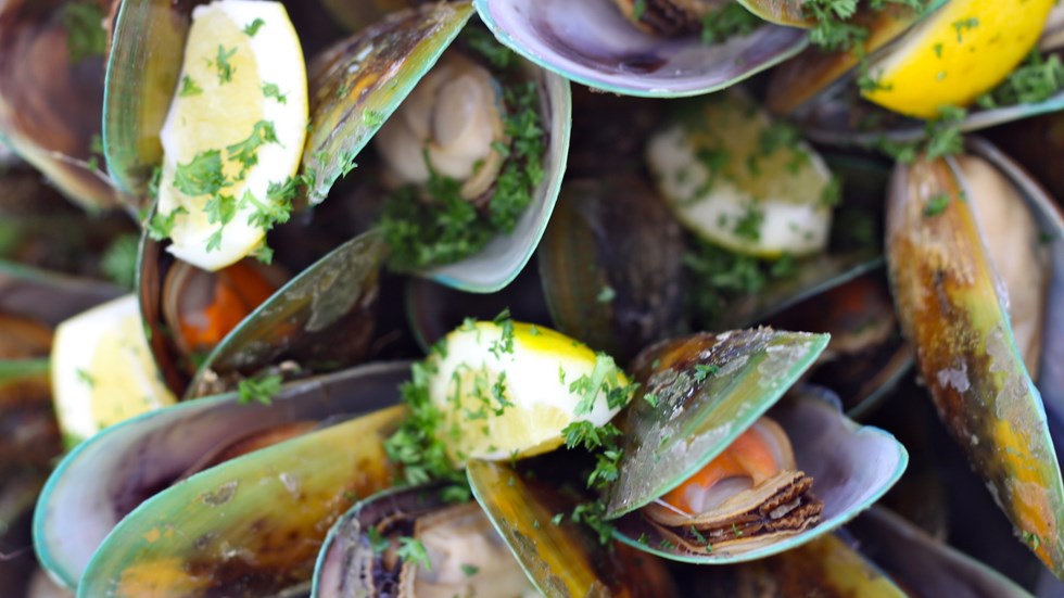 Freshly steamed Greenshell mussels in the shell with parsley ready to eat in the Marlborough Sounds, at the top of New Zealand's South Island.