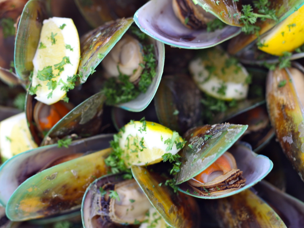 Freshly steamed Greenshell mussels in the shell with parsley ready to eat in the Marlborough Sounds, at the top of New Zealand's South Island.