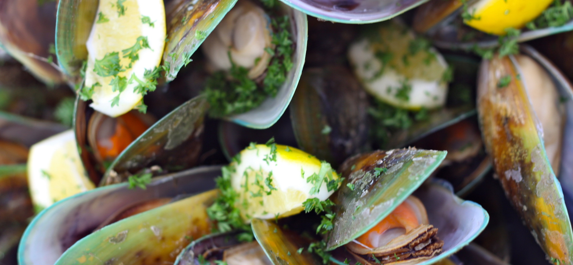 Freshly steamed Greenshell mussels in the shell with parsley ready to eat in the Marlborough Sounds, at the top of New Zealand's South Island.