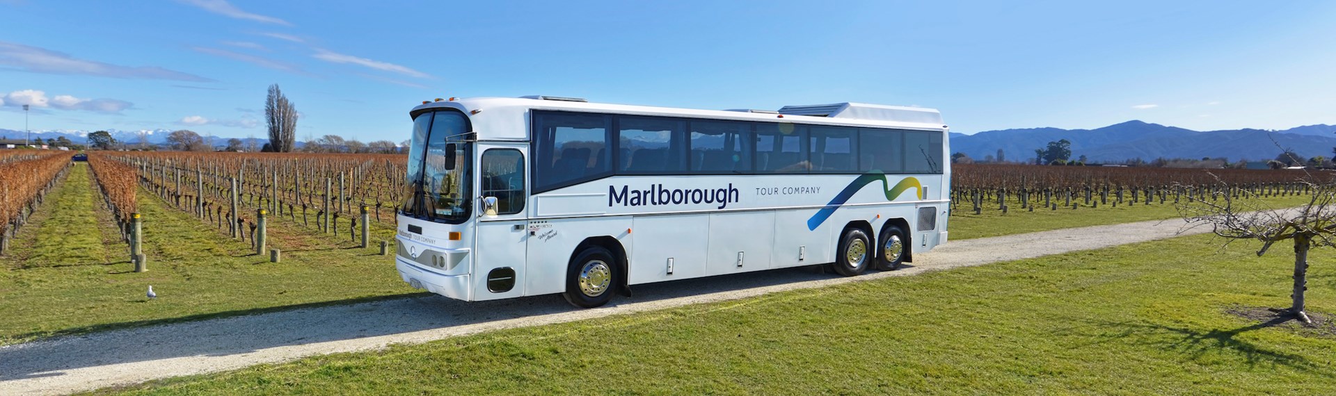 A Marlborough Tour Company coach parked in a vineyard in Blenheim, Marlborough at the top of New Zealand's South Island.