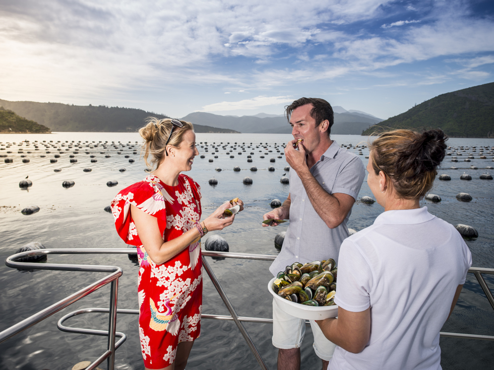 A couple laughs while tasting Greenshell mussels with Marlborough Tour Company staff member at bow of boat in the Marlborough Sounds, at the top of New Zealand's South Island