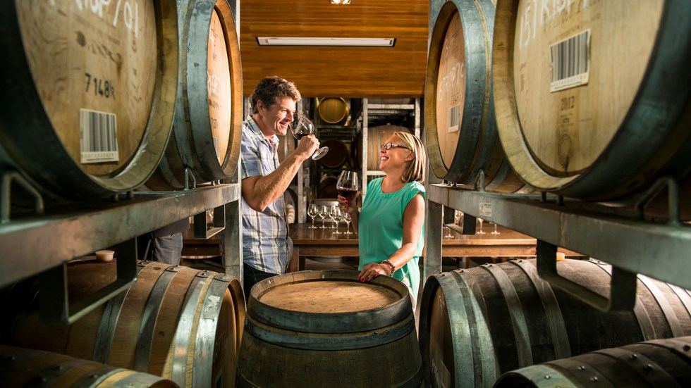 Couple drink red wine surrounded by wine barrels in a winery barrel hall on a wine tour in Marlborough near Blenheim, at the top of New Zealand's South Island