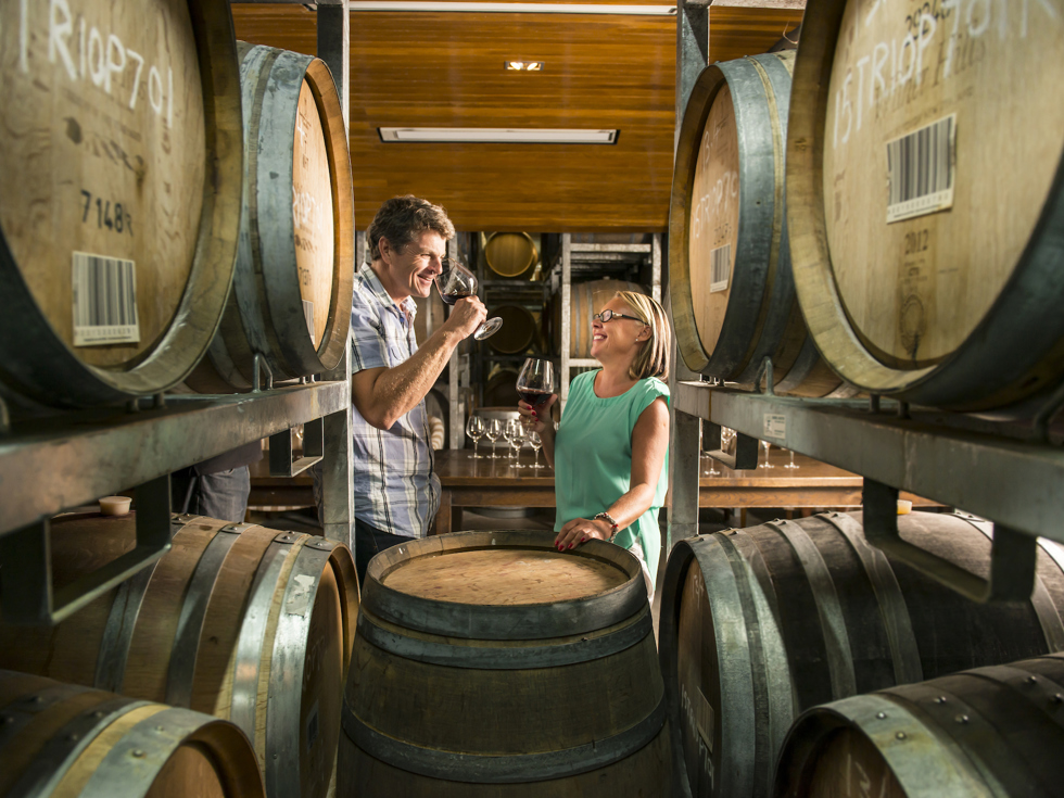 Couple drink red wine surrounded by wine barrels in a winery barrel hall on a wine tour in Marlborough near Blenheim, at the top of New Zealand's South Island