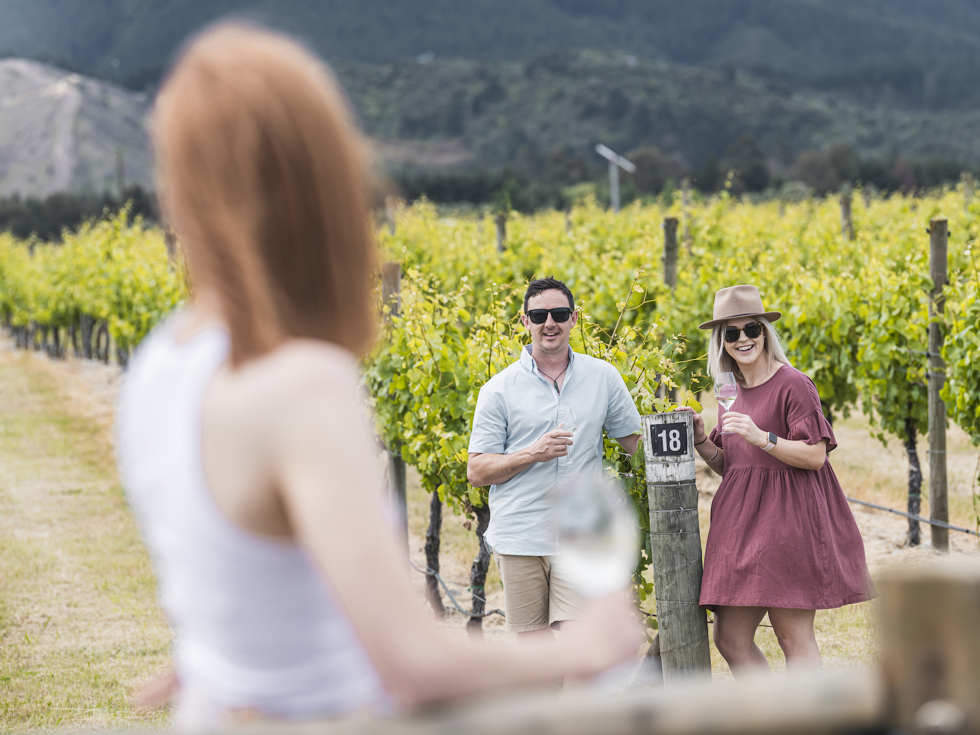 Three people drinking wine in a vineyard as part of a wine tour in Marlborough near Blenheim, at the top of New Zealand's South Island