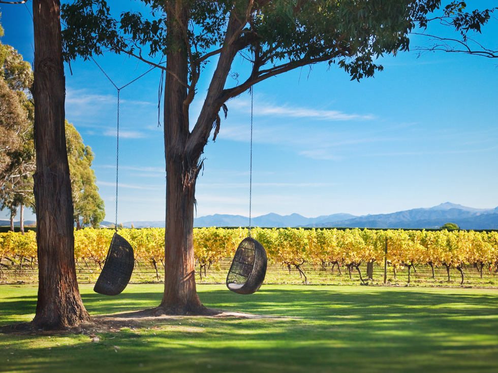 Two egg chairs hang from trees over the lawn against yellow grapevines at Cloudy Bay cellar door, near Blenheim in Marlborough at the top of New Zealand's South Island., 