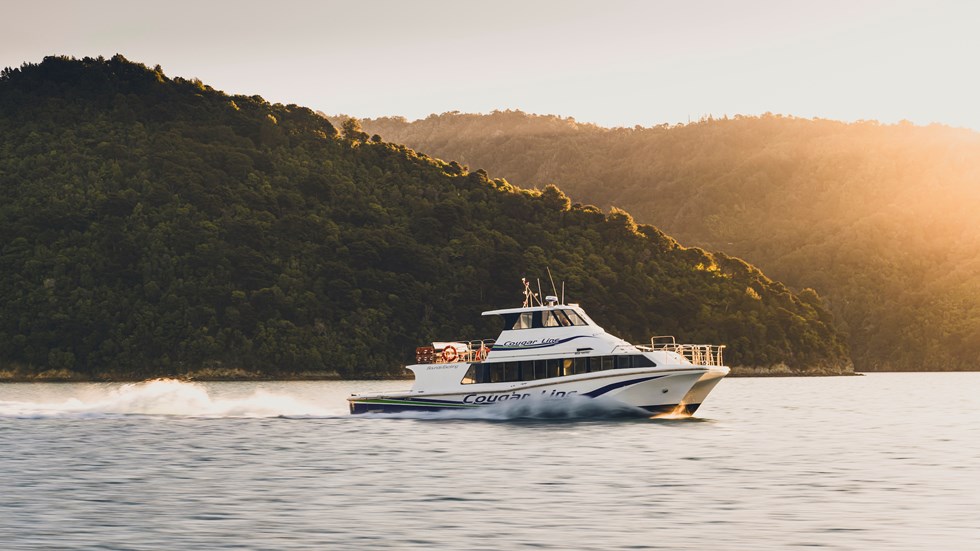 Cougar Line boat cruising Marlborough Sounds at sunset, New Zealand