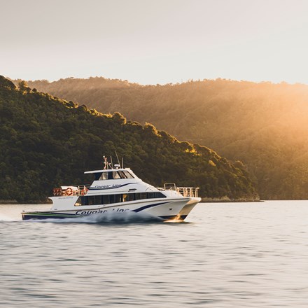 Cougar Line boat cruising Marlborough Sounds at sunset, New Zealand