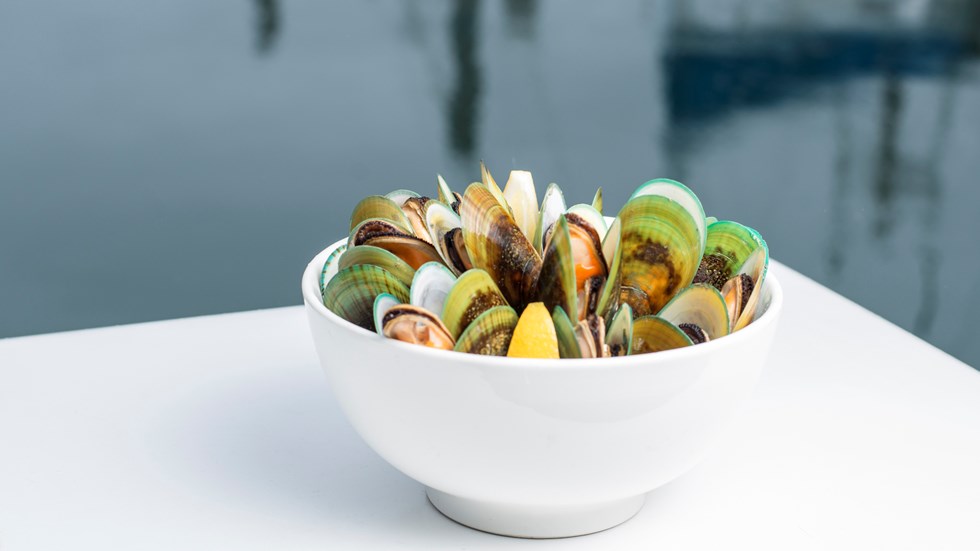 A bowl of freshly steamed Greenshell mussels on a boat with water behind, at Havelock Marina at the top of New Zealand's South Island.