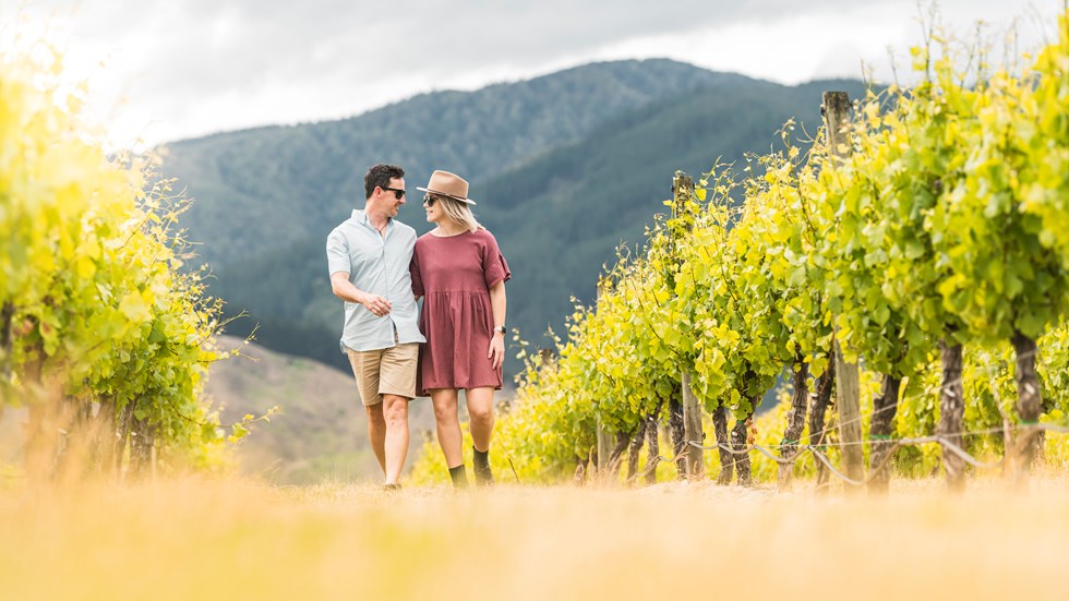 A couple walk arm in arm through a vineyard between rows of grapes on a wine tour in Marlborough near Blenheim, at the top of New Zealand's South Island