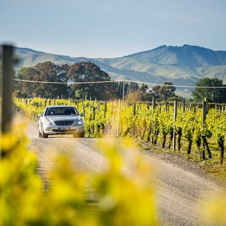 Silver sedan drives alongside vineyards as part of a Marlborough Tour Company wine tour in Marlborough near Blenheim, at the top of New Zealand's South Island