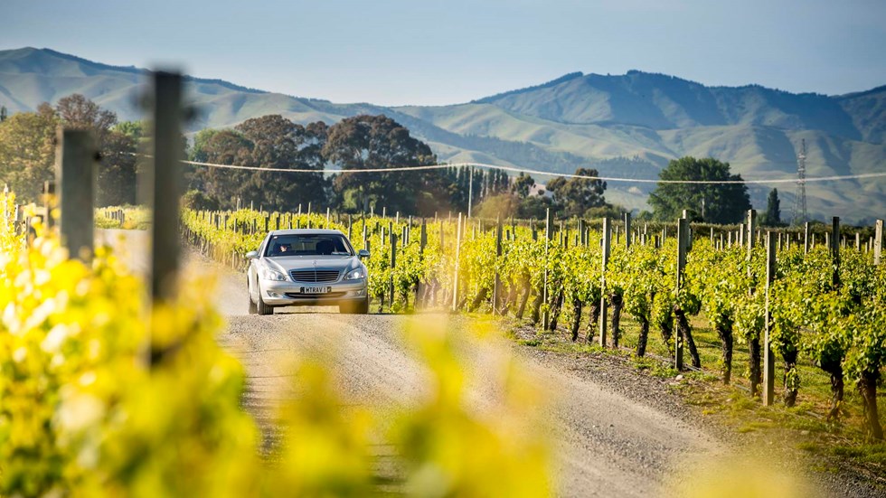 Silver sedan drives alongside vineyards as part of a Marlborough Tour Company wine tour in Marlborough near Blenheim, at the top of New Zealand's South Island